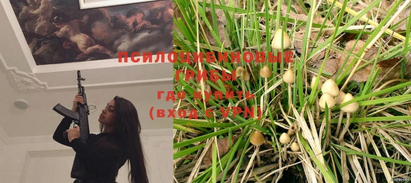 хмурый Елизово