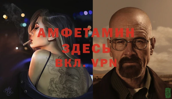 шишки Елабуга
