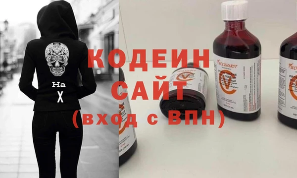 хмурый Елизово