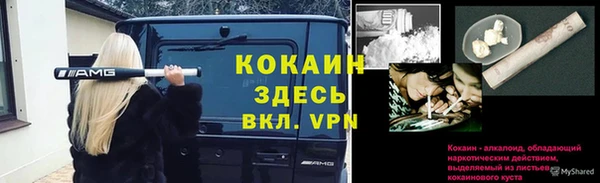 мет Пестово