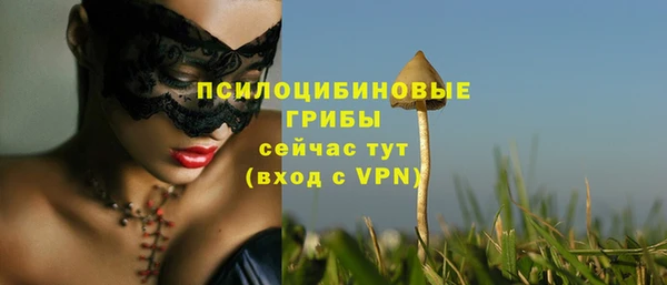 кокаин колумбия Ельня