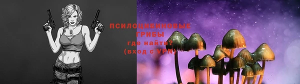 мет Пестово