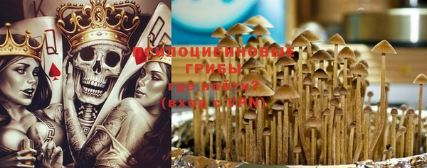 шишки Елабуга