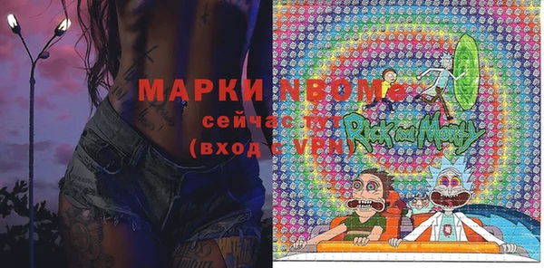 хмурый Елизово