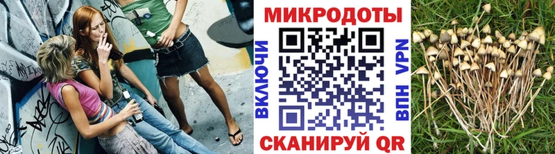 Псилоцибиновые грибы ЛСД Салаир